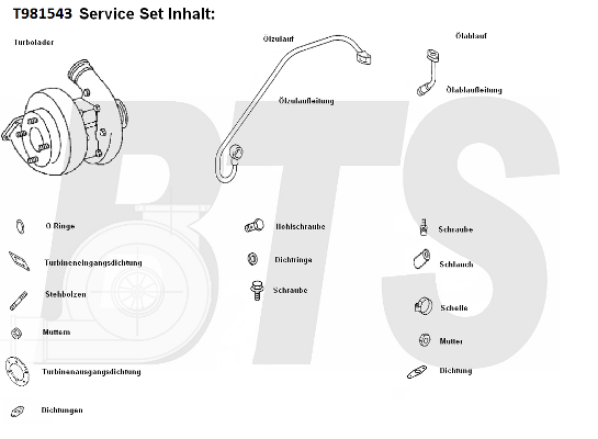 Compresor,sistem de supraalimentare T981543 BTS Turbo